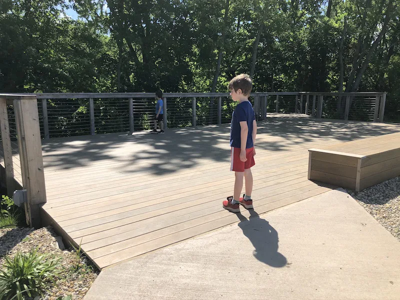 two boys looking over the observation deck at Grove Lodge.