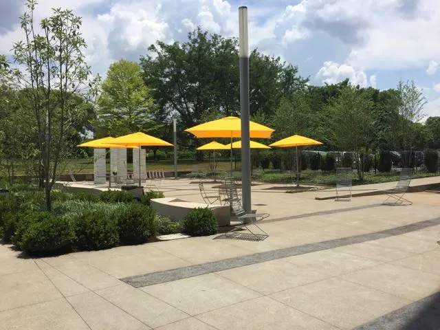 umbrellas on the patio of the Main Library.