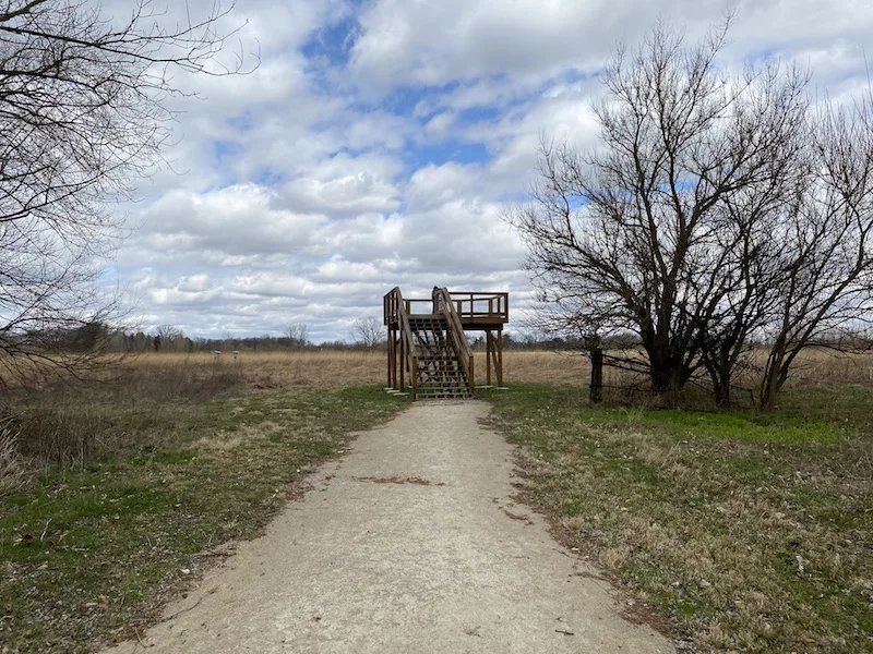 observation deck at the Wood Duck Picnic Area at Pickerington Ponds Metro Park.
