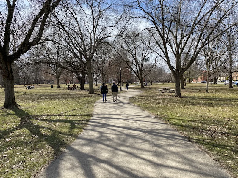 people walking on a path and sitting at picnic tables in the park.