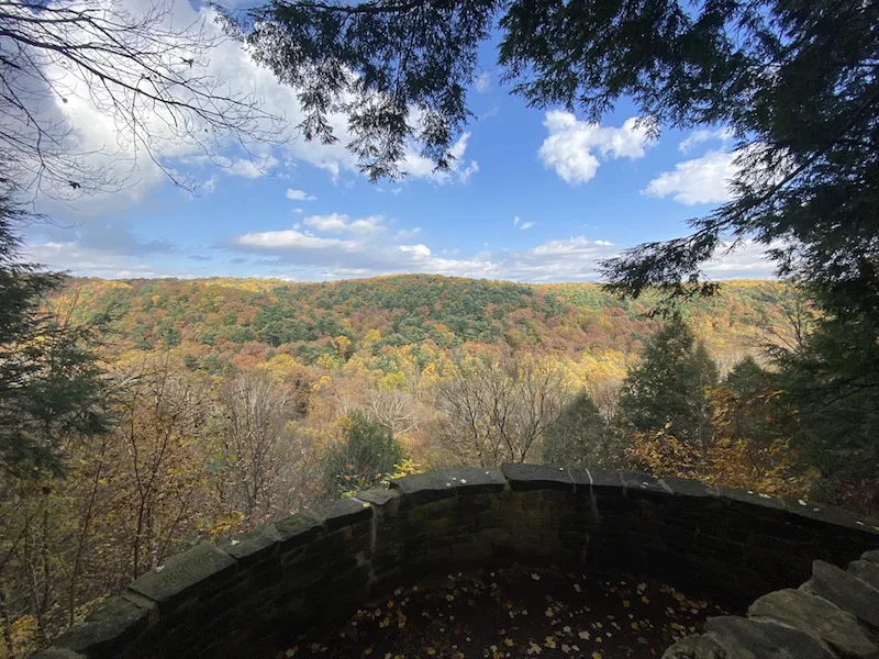 view of fall trees from Clearfork Gorge in Mohican State Park.