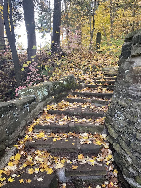 steps going down to the Overlook at Clear Fork Gorge.
