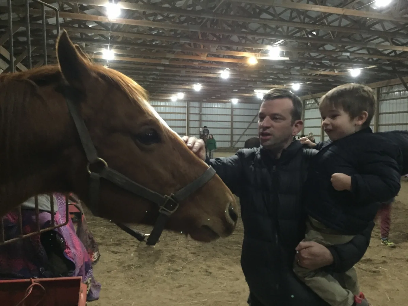 boy and dad petting a horse in Galloway, Ohio.