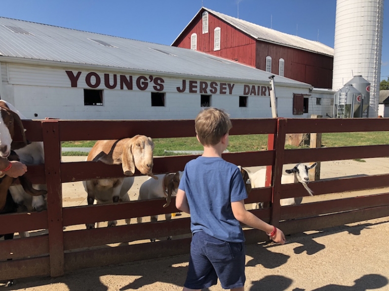 petting zoo near columbus ohio