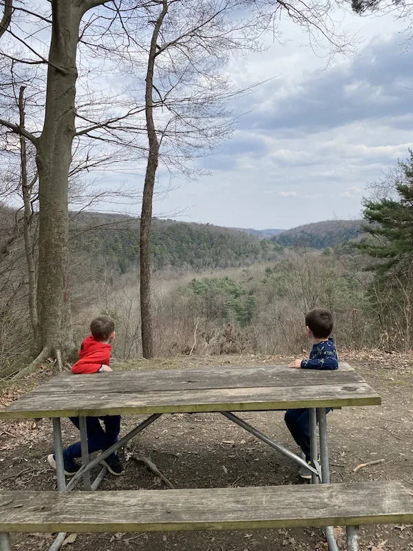 Vista Overlook at Mohican State Park.