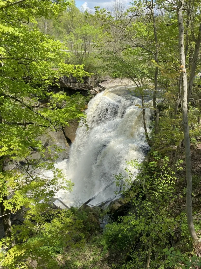 view of Brandywine Falls from above.