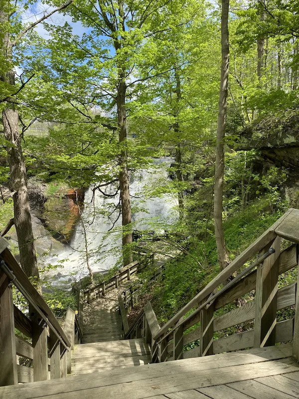 view of Brandywine Falls from the Lower Deck.