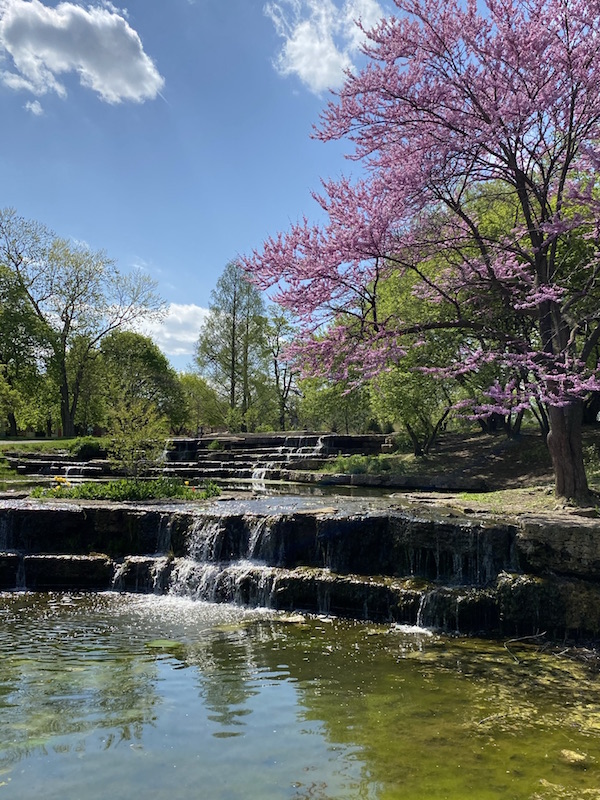 The Franklin Park Cascades in the spring.