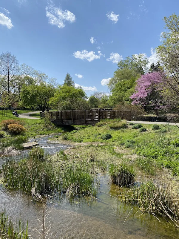 A bridge over the cascades area in Franklin Park.