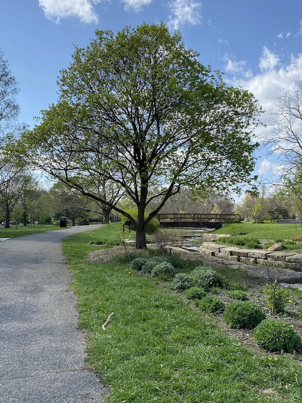 A walking path and bridge in Franklin Park.