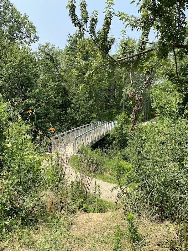 Hiking Trail and bridge at Lake Erie Bluffs.