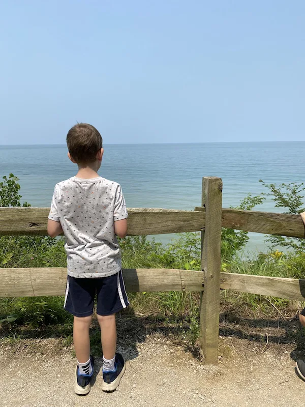 A boy looking out over the observation area at Lake Erie Bluffs.