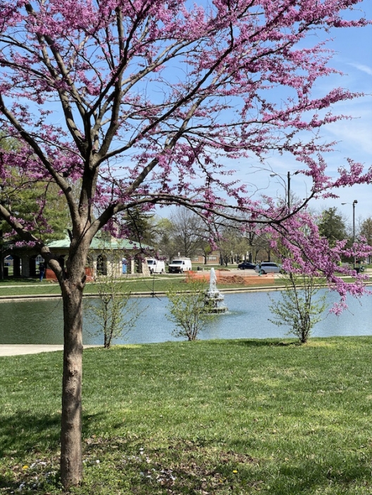 Westgate Park in Columbus is Full of Unique Things to See and Do