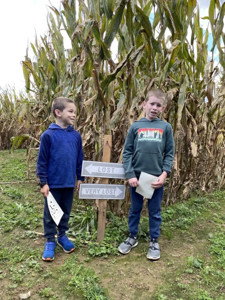 Two boys in the corn maze at Ballentine Farms.