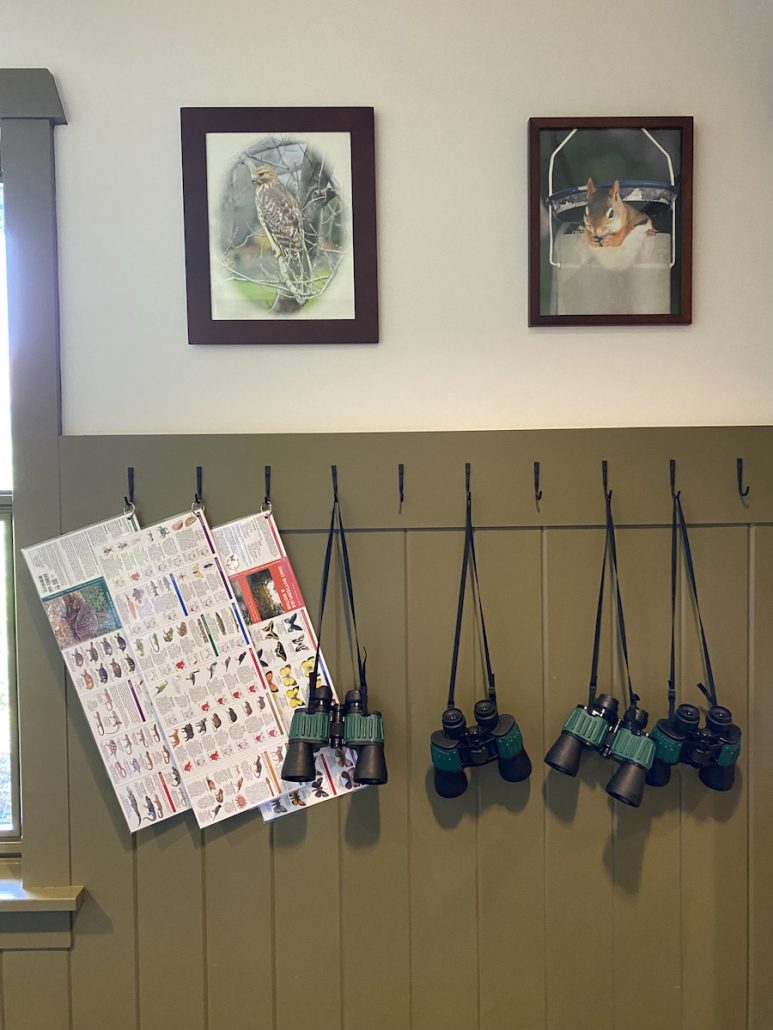 Binoculars and bird identification cards at the Environmental Learning Center.