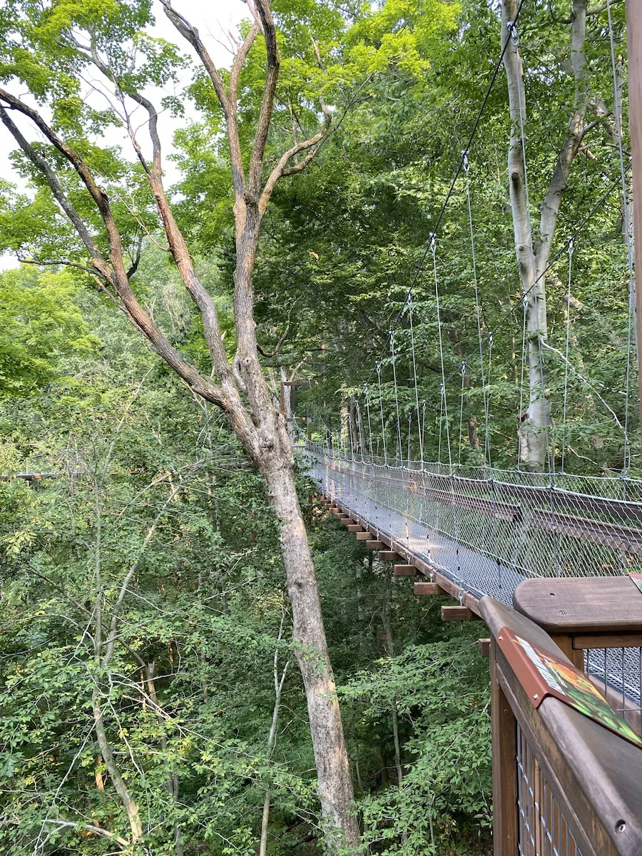 One of four suspension bridges on Holden Arboretum Canopy Walk.