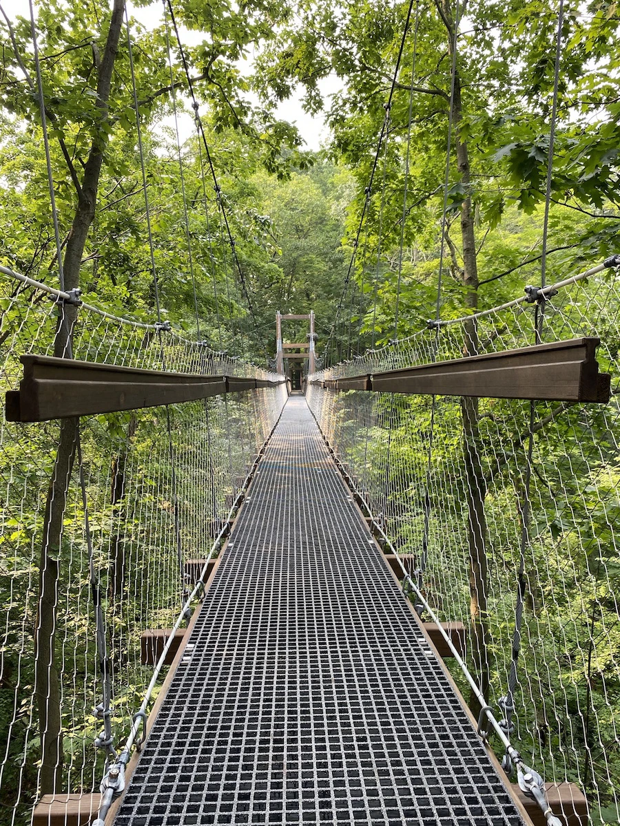 Suspension bridge on holden arboretum canopy walk.