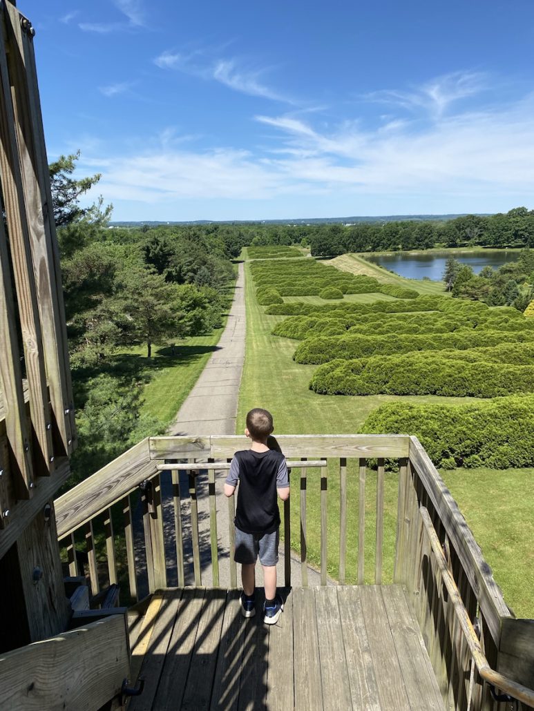 Boy standing on the Observation Tower at Dawes Arboretum in Newark, Ohio.