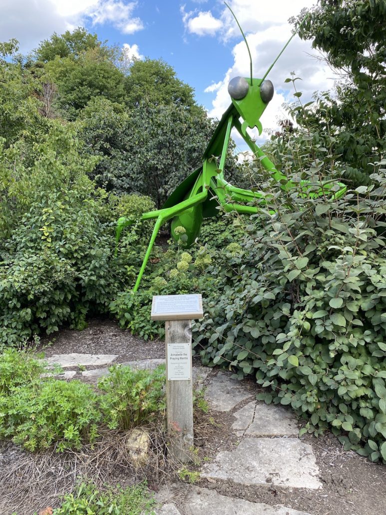 A larger than life praying mantis statue at Chadwick Arboretum at the Ohio State University.