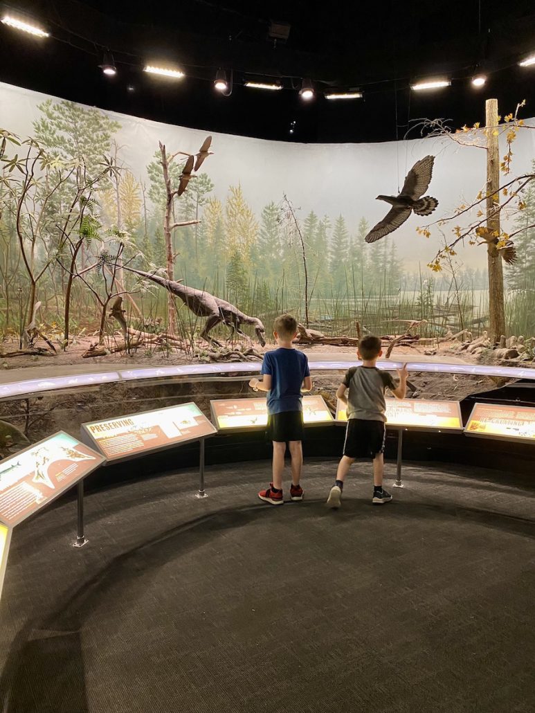 Two boys exploring the Dinosaur Gallery at the Center of Science and Industry in Columbus, Ohio.