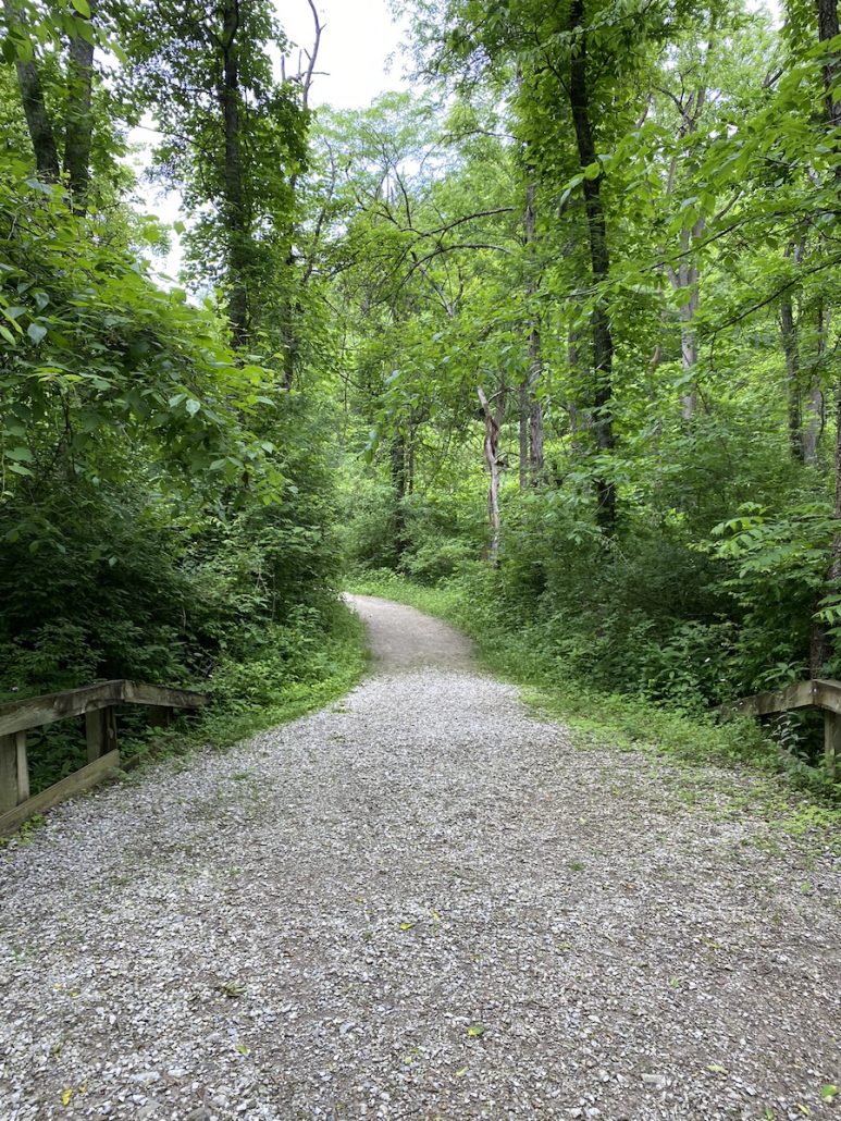 A trail through the Amy Clark-Bader Bird Sanctuary.