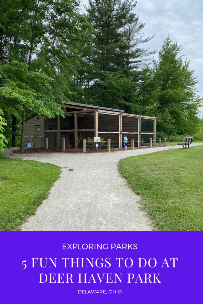 5 Fun Things to do at Deer Haven Park