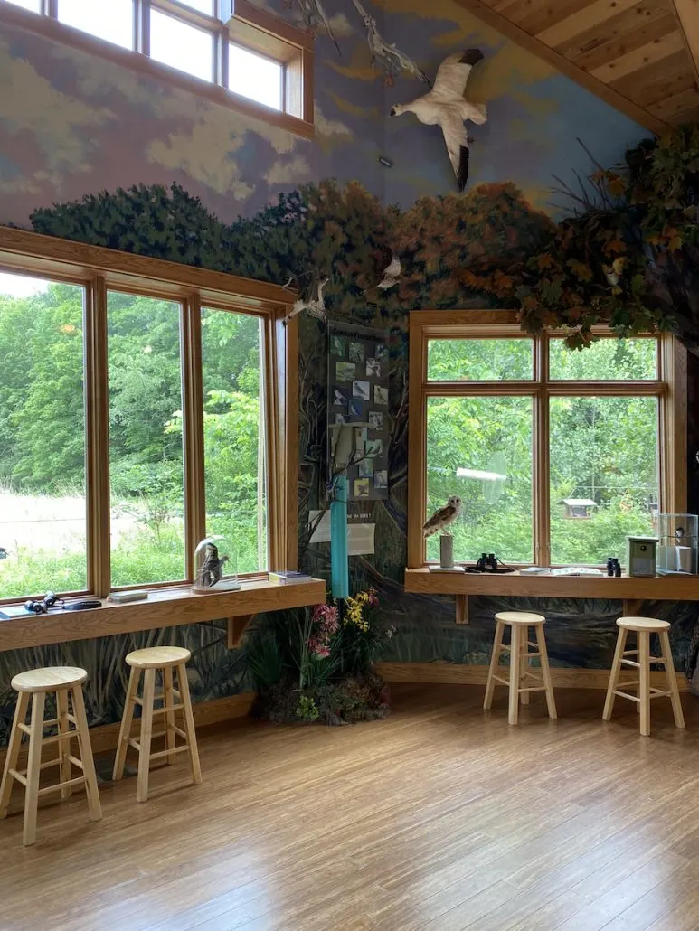 Large viewing windows inside the Nature Center.