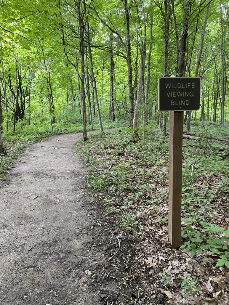 Bent Tree Ridge Trail at Deer Haven Park.