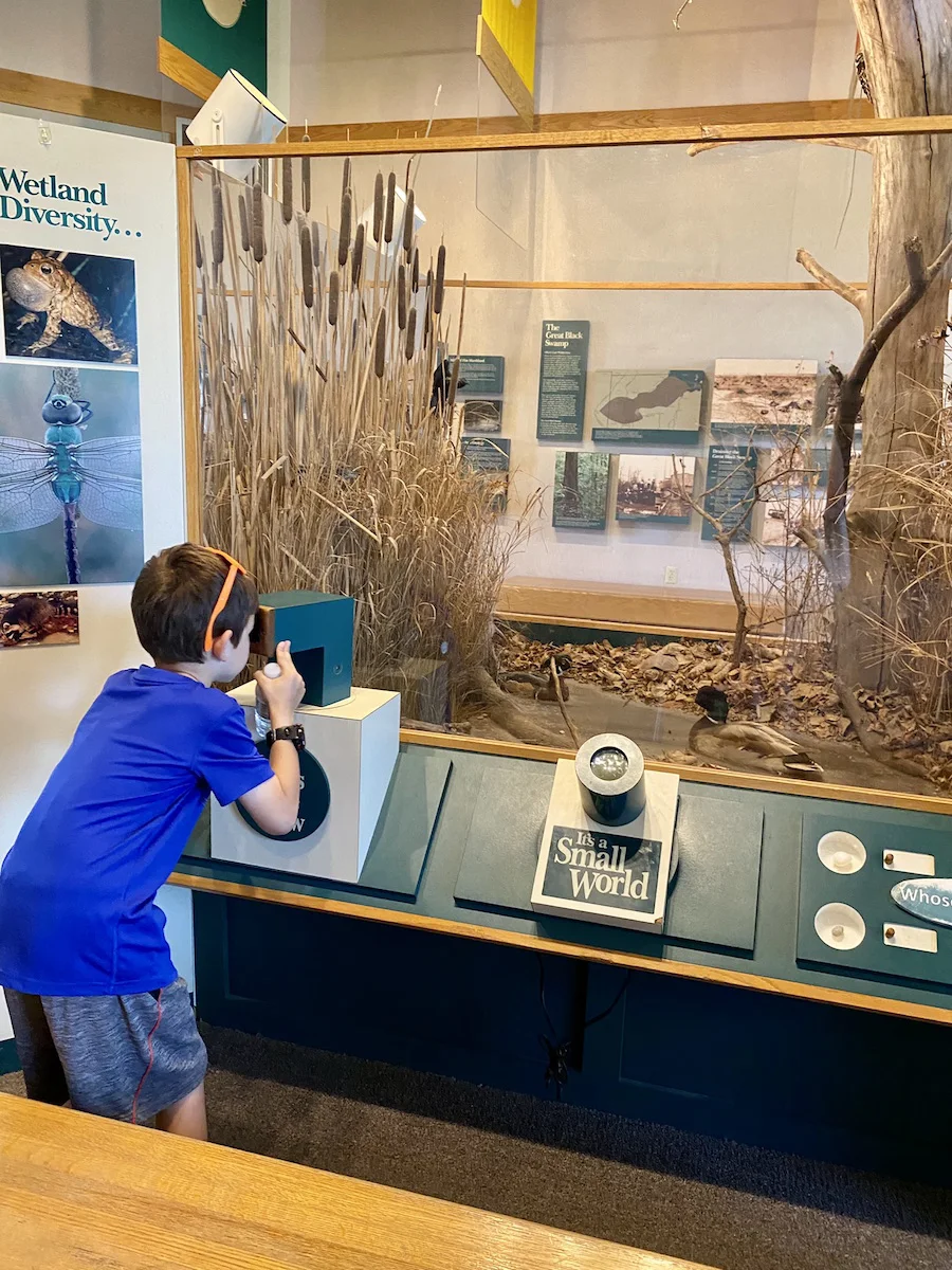 Boy looking through a microscope at the Maumee Bay State Park Nature Center.