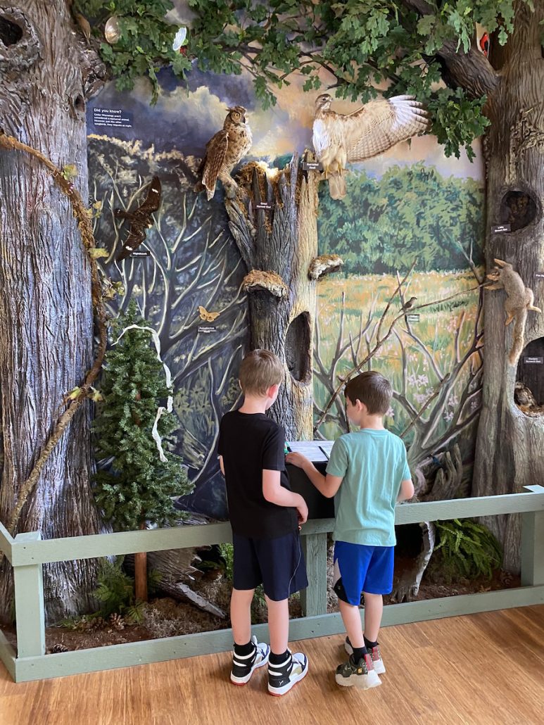 Boys looking at an educational display at the Nature Center at Deer Haven Park in Delaware, Ohio.