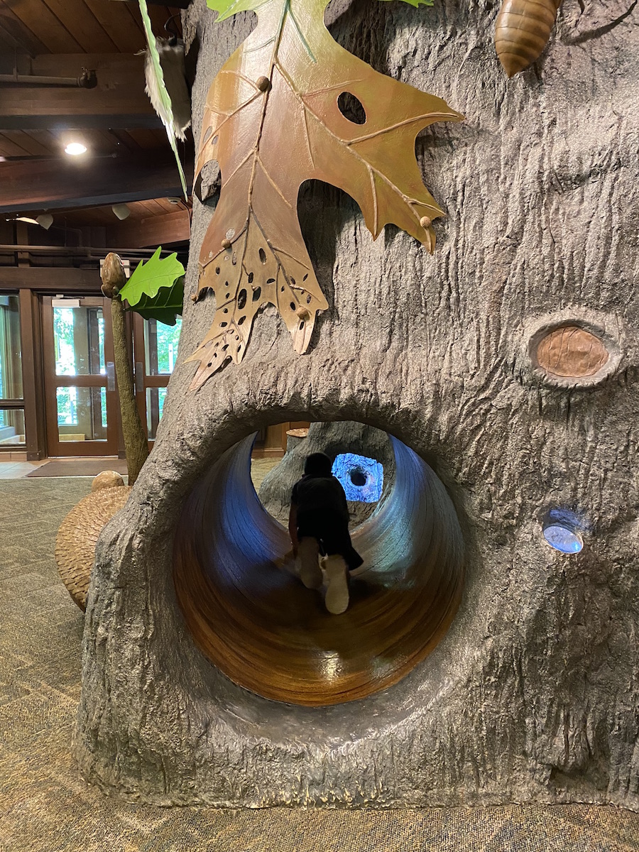 A boy climbing through a tunnel in Hideaway Hollow at the Nature Center at Rocky River Reservation.