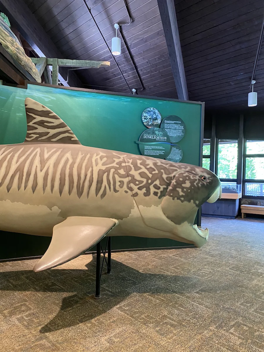 A life size model of Dunkleosteus inside the Nature Center at Rocky River Reservation.