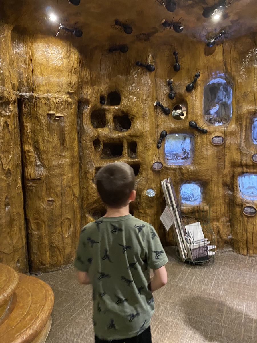 Inside Hideaway Hollow at the Nature Center.