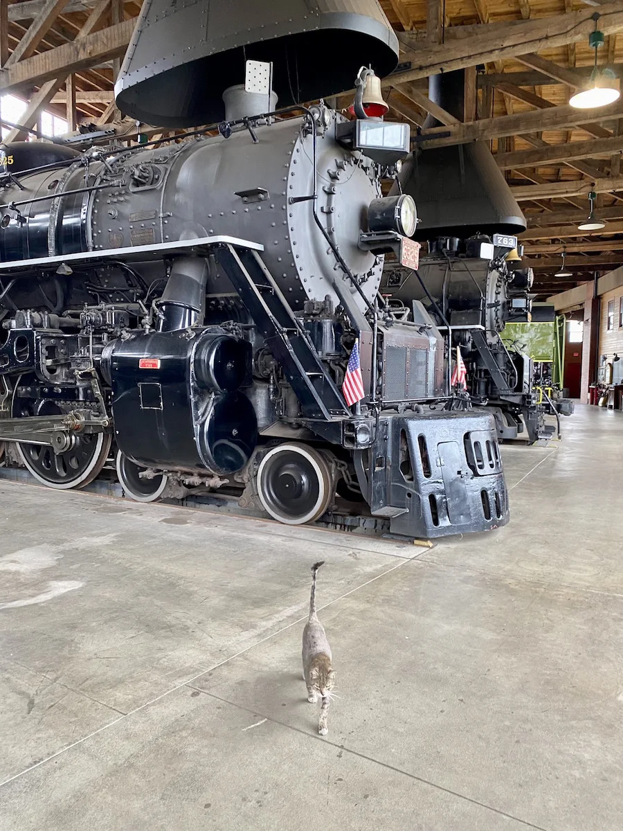Felix the Cat at the Age of Steam Roundhouse.