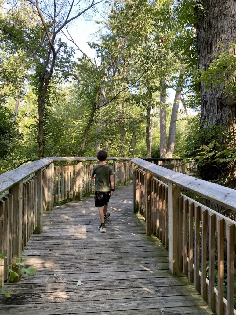 Boy on the Swamp Forest boardwalk trail at Wegerzyn Gardens.