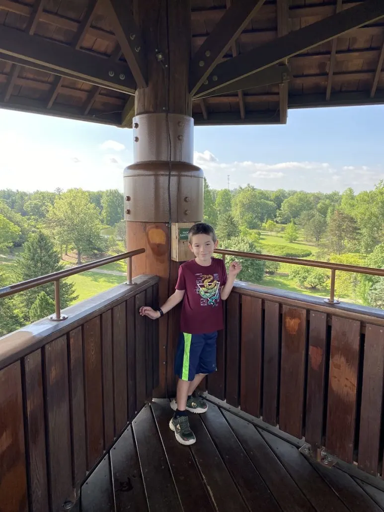 Boy standing on top of the Tree Tower at Cox Arboretum, a must see sight in Dayton, Ohio.