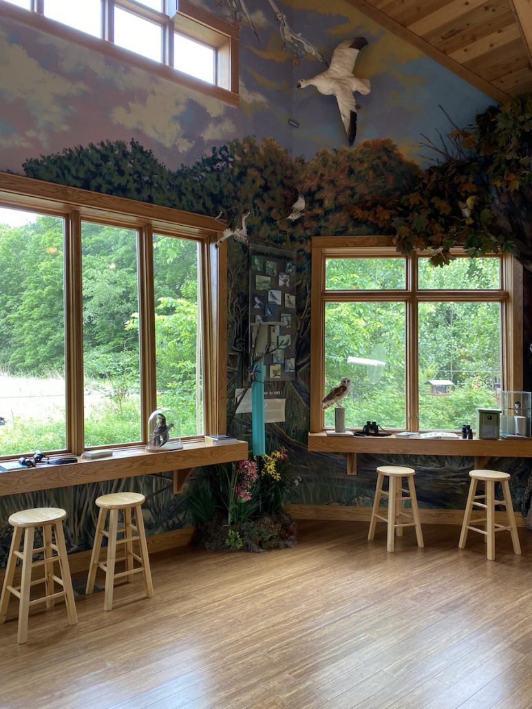 Large windows and binoculars for birdwatching, a free activity at the Deer Haven Nature Center.