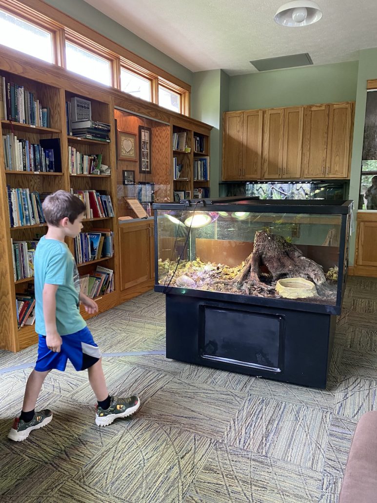 Animals on display at the Deer Haven nature center which is free to visit in Delaware, Ohio.