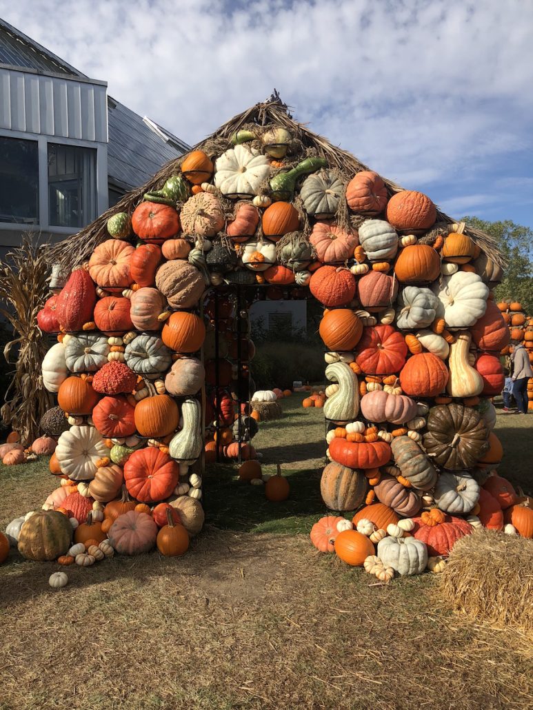 Pumpkin house at Franklin Park Conservatory in Columbus, Ohio.