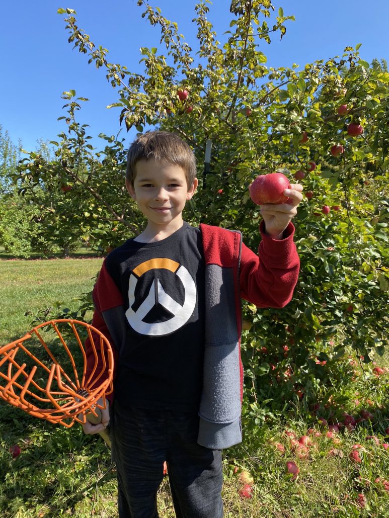 Boy holding an apple at CherryHawk Orchard in Marysville, Ohio.