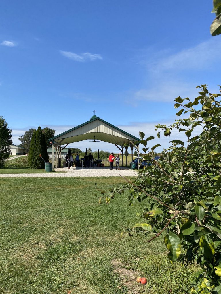 Pumpkin Patches and Fall Festivals in Columbus and Central Ohio 2024!