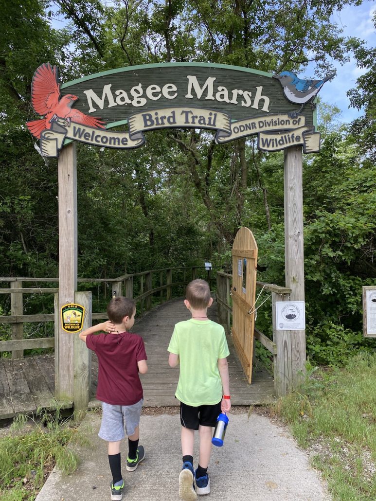 Boys walking into the Bird Trail at the Magee Marsh just outside of Toledo, Ohio.