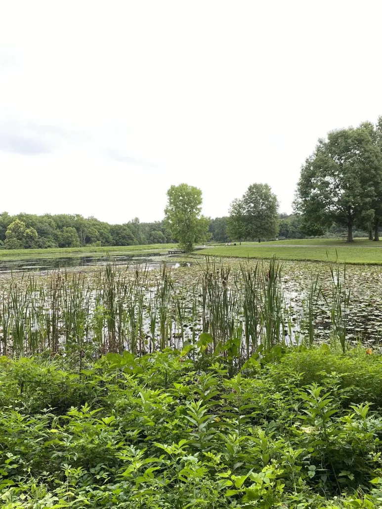 A view of Buzzard's Roost Lake at Slate Run Metro Park.