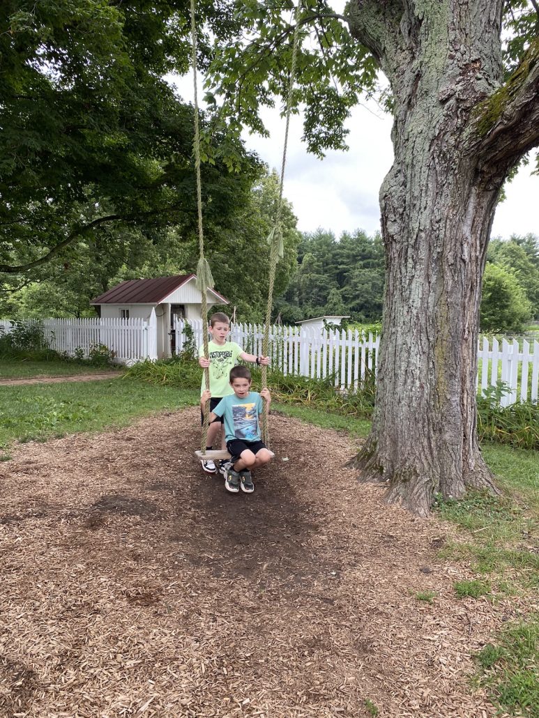Two boys on the swing at the farmhouse at Slate Run Historical Farm.