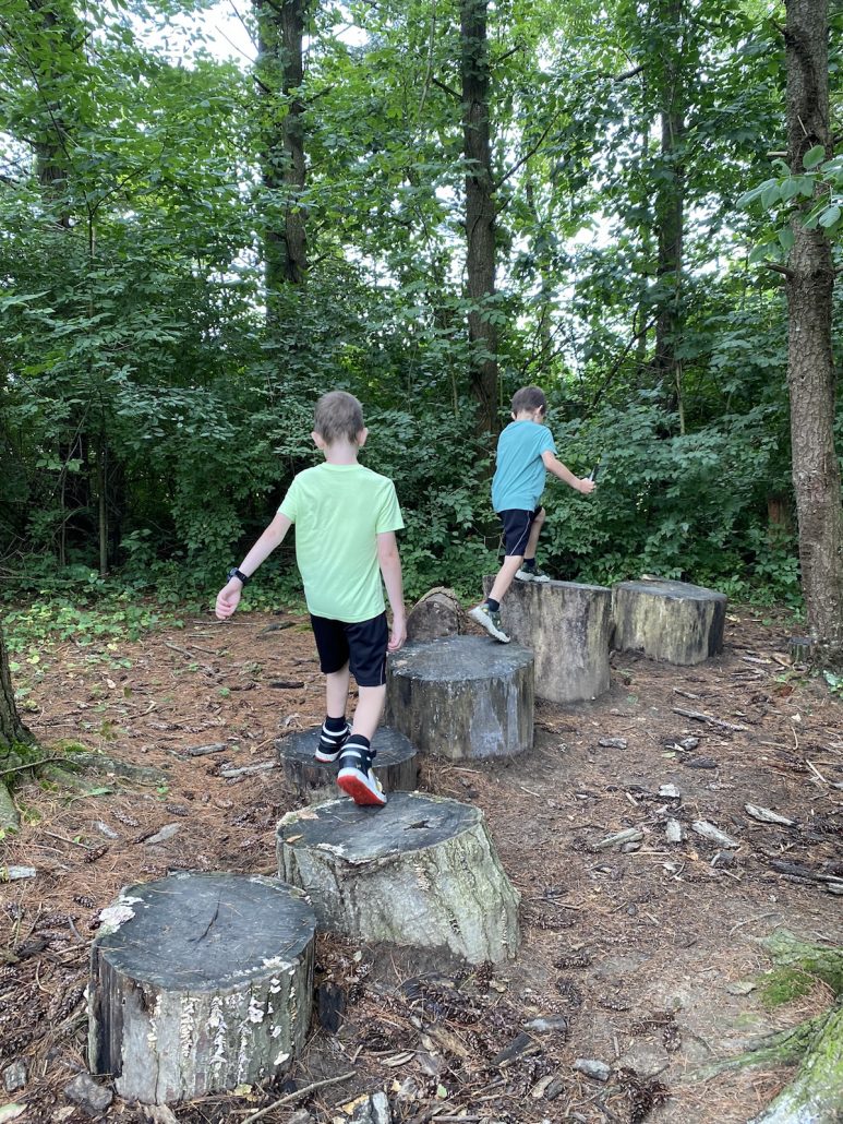 Two boys walking on tree stumps in the natural play area at Slate Run Metro Park in Columbus, Ohio.