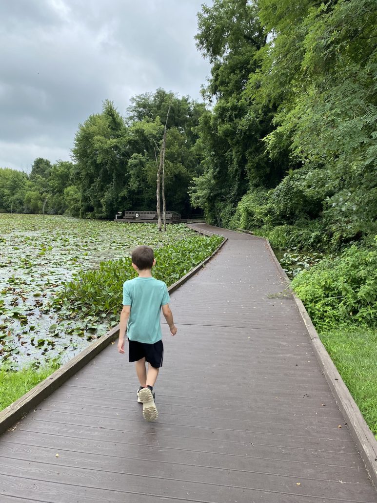 Boy walking on boardwalk at Buzzard's Roost Lake at Slate Run Metro Park.