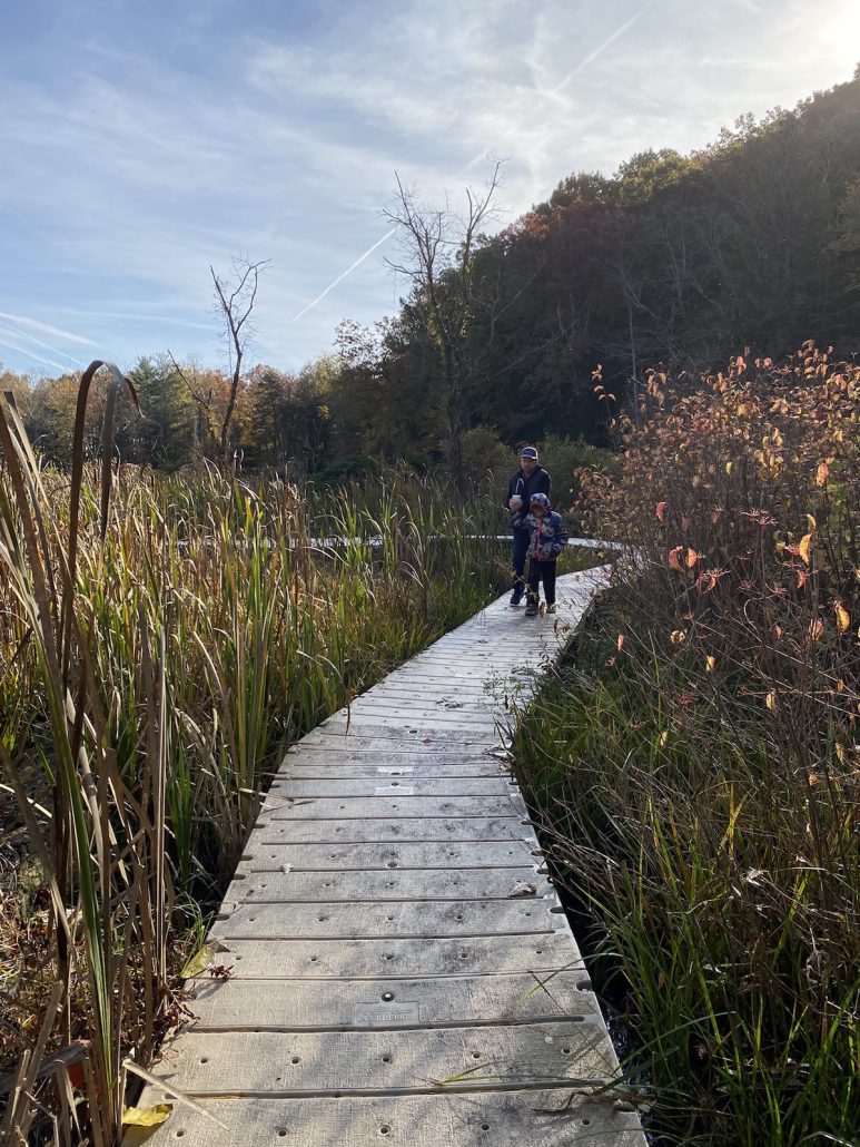 Father and son on the boardwalk trail at Wahkeena Nature Preserve in Lancaster, Ohio.