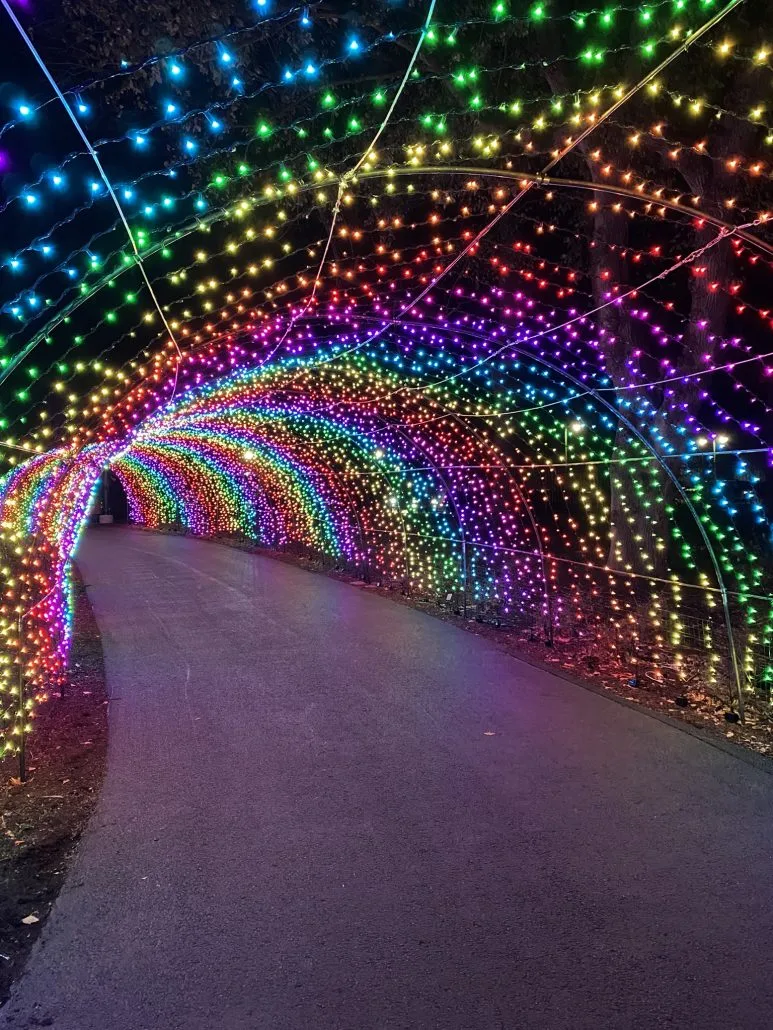 Tunnel of lights at Franklin Park Conservatory in Columbus, Ohio.