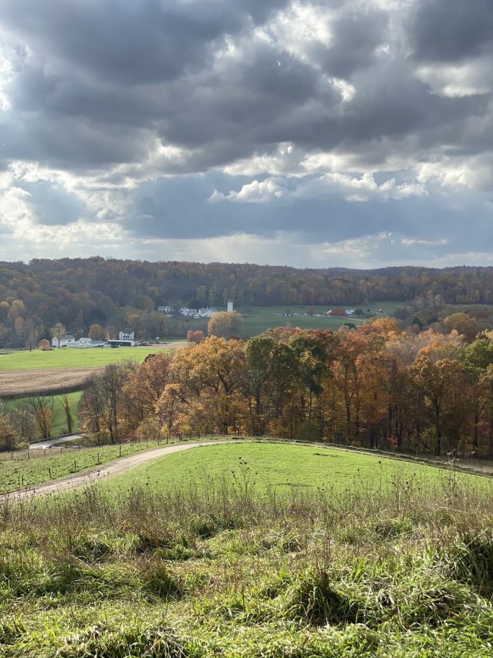 Escape to Tranquility: Unveiling the Hidden Gem of Ohio's Solon Woods State Nature Preserve