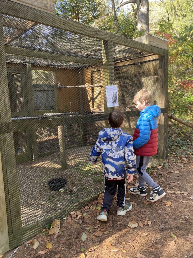Two boys looking at the raptors housed at Wahkeena Nature Preserve in Fairfield County, Ohio.